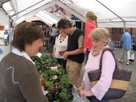 Echange de plantes - 36&nbsp;ko